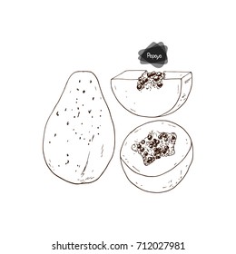 Hand drawn sketch ripe and half papaya and sliced  
 papaya on white background. Vector illustration. 