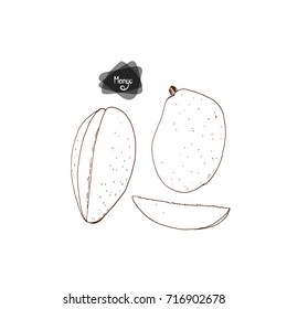 Hand drawn sketch ripe mango and sliced mango on white background. Vector illustration. 