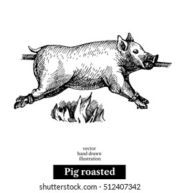 Hand drawn sketch roasted pig. Vector black and white vintage illustration. Isolated object on white background. Menu design