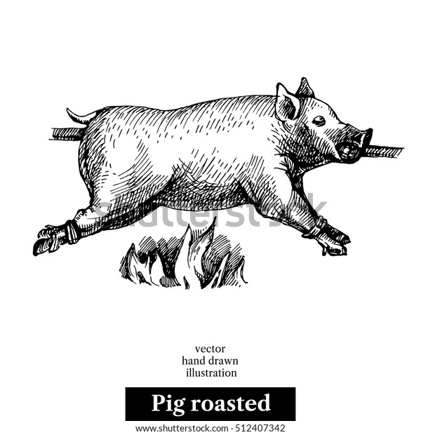 Hand drawn sketch roasted pig. Vector black and\
white vintage illustration. Isolated object on white background.\
Menu design