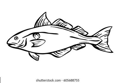 561 Haddock illustration Images, Stock Photos & Vectors | Shutterstock