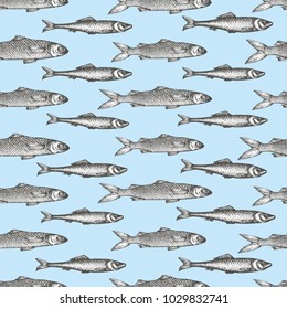 Hand drawn sketch seafood background. Vector seamless pattern with fish. Vintage mullet and sprat illustration. Can be use for menu or packaging design. Engraved style. Retro salmon illustration.