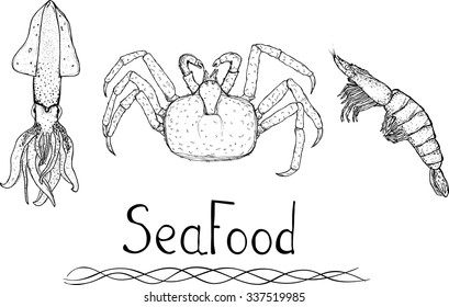 Hand drawn sketch of seafood - squid, crab and shrimp with logo vector. Design elements