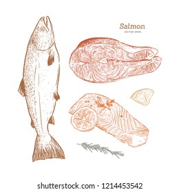 Hand drawn sketch seafood vector vintage illustration 