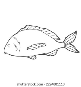 Hand drawn sketch seafood vector black and white vintage illustration of salmon fish. Isolated object on white background. Menu design