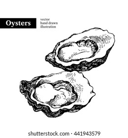 Hand drawn sketch seafood vector black and white vintage illustration of oysters. Isolated object on white background. Menu design