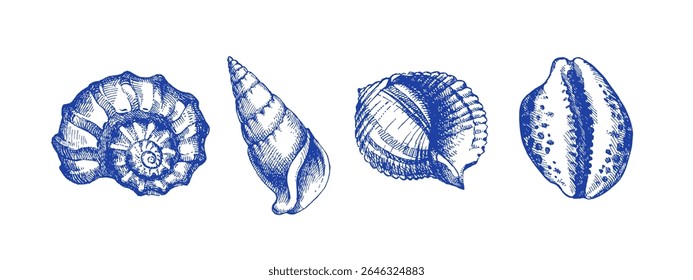 Conjunto de concha de esboço desenhado à mão. Ilustração isolada de vetor sobre fundo branco