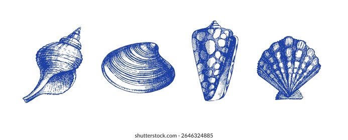 Conjunto de concha de esboço desenhado à mão. Ilustração isolada de vetor sobre fundo branco