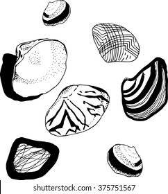 Hand drawn sketch of seashells.Black ink pen  illustration - set of beach seashells . Ornamental, isolated on white. 