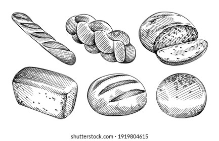 Hand drawn sketch set of bread types. Burger bun, white sandwich bread, baggel, Multigrain bread, challah, ciabatta 