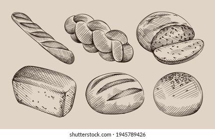 Hand drawn sketch set of bread types. Burger bun, white sandwich bread, baggel, Multigrain bread, challah, ciabatta	

