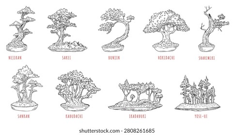 Hand drawn sketch set of classical Japanese bonsai tree styles in ceramic pots. Vector collection of miniature trees including nejikan, sakei, bunjin, hokidachi, sharimiki, sankan, kabudachi, ikadabuki, and yose-ue