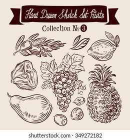 Hand drawn sketch set fruit. Vector illustration