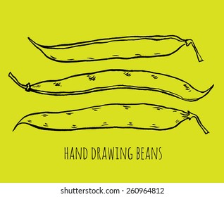 Hand drawn sketch set green beans vegetable - eco food vector ink illustration  