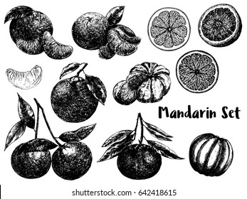 Hand drawn sketch set of mandarin orange fruits. Whole fruit with leaf and sliced. Vector illustration isolated on white background.
