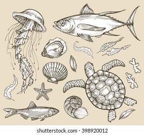 Hand drawn sketch set marine animals, wildlife. Vector illustration