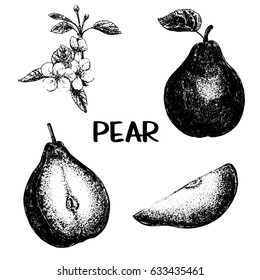 Hand drawn sketch set of pear fruits and flowers. Whole fruit with leaf and sliced. Vector illustration isolated on white background.