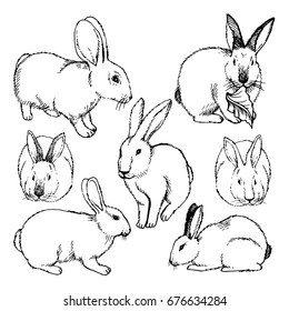 103,241 Drawn rabbit Images, Stock Photos & Vectors | Shutterstock