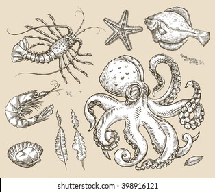 Hand drawn sketch set sea animals, seafood. Vector illustration