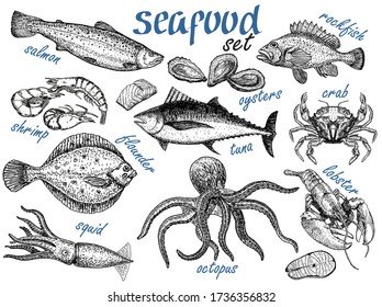 Hand drawn sketch set of seafood. Crab, lobster, shrimp, oyster, fish and squid. Engraved vintage template. Fish and sea food restaurant menu, flyer, business card promo. Vector retro illustrations