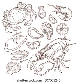 Hand drawn sketch set of seafood. Set of seafood. Vector illustration. Crab crustaceans lobster shrimp oyster claw mussel scallop.