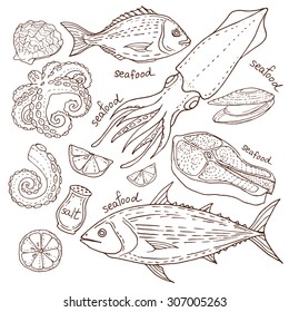 Hand drawn sketch set of seafood. Set of seafood. Vector illustration. Salmon fish octopus tuna squid.
