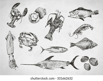 Hand drawn sketch set of seafood. Vector collection, retro engraving style