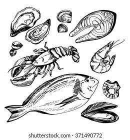 Hand drawn sketch set of seafood. Vector illustration.
