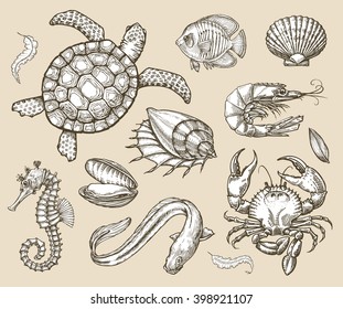 Hand drawn sketch set of seafood, sea animals. Vector illustration