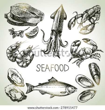Hand drawn sketch set of seafood. Vector illustration