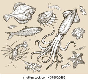 Hand drawn sketch set seafood,underwater world. Vector illustration