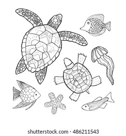 Hand drawn sketch set of turtles, jellyfish and other sea animals. Vector illustration