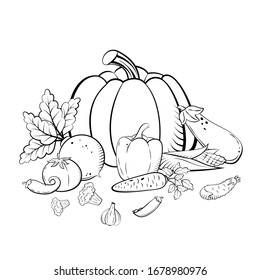 Hand drawn sketch set vegetables. Organic vegetarian food.  Coloring page. Vector illustration for print, web, mobile and infographics isolated on white background
