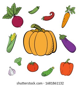 Hand drawn sketch set vegetables in style retro. Organic vegetarian food. Vector illustration for print, web, mobile and infographics isolated on white background