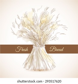 Hand drawn sketch sheaf of wheat. Doodle concept for fresh bread or flour products advertising campaign. Brown ribbon on background for your text