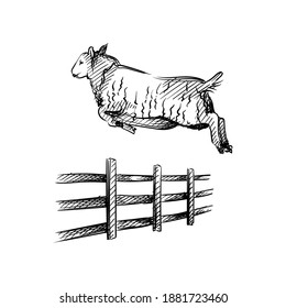 Hand drawn sketch of sheep jumping over the fence on a white background. Black and white sketch of sheep jumping. Going to sleep. Sleeping set. Counting sheep to sleep