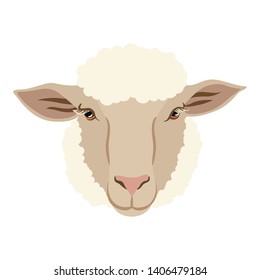 hand drawn sketch sheep of on a white background