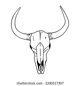 Hand drawn sketch of the skull of a buffalo