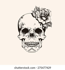 Hand drawn sketch skull and rose tattoo line art  Vintage vector illustration isolated background  