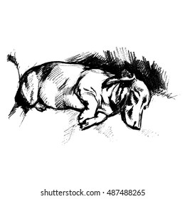 Hand drawn sketch of slepping shorthaired mini dachshund dog