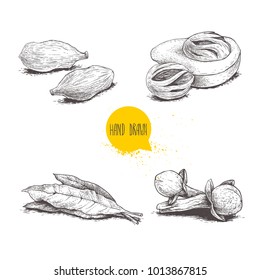Hand drawn sketch spices set. Bay leaves, nutmegs, cardamoms and cloves. Herbs, condiments and spices vector illustration isolated on white background.