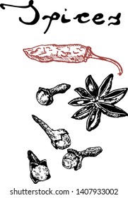 Hand drawn sketch spices set. Hot pepper, cardamoms and cloves. Spices vector illustration isolated on white background.
