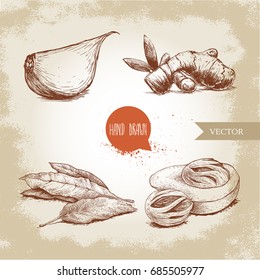 Hand drawn sketch spices set. Garlic clove, ginger root, bay leaves bunch and nutmeg mace fruits. Herbs, condiments and spices vector illustration isolated on old background.