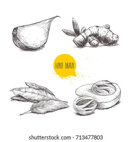Hand drawn sketch spices set. Garlic clove, ginger root, bay leaves bunch and nutmeg mace fruits. Herbs, condiments and spices vector illustration isolated on white background.
