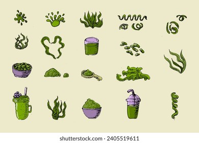 Hand drawn sketch spirulina algae and drinks set of spirulina powder, tablets, kitchen cups. Spirulina smootie healthy drink.Various algae products for detox.