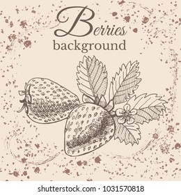 Hand drawn sketch with  strawberry on sepia vintage background. Vector illustration.