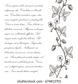 Hand drawn sketch strawberry. Vintage botanical background with berries and leaves. Vector floral seamless engraved illustration