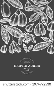 Hand drawn sketch style ackee banner. Organic fresh food vector illustration on chalk board. Retro exotic fruit design template. Engraved style botanical background.