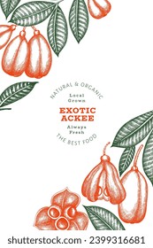 Hand drawn sketch style ackee banner. Organic fresh food vector illustration. Retro exotic fruit design template. Engraved style botanical background.