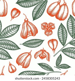 Hand drawn sketch style ackee seamless pattern. Organic fresh food vector illustration. Retro exotic fruit  background.